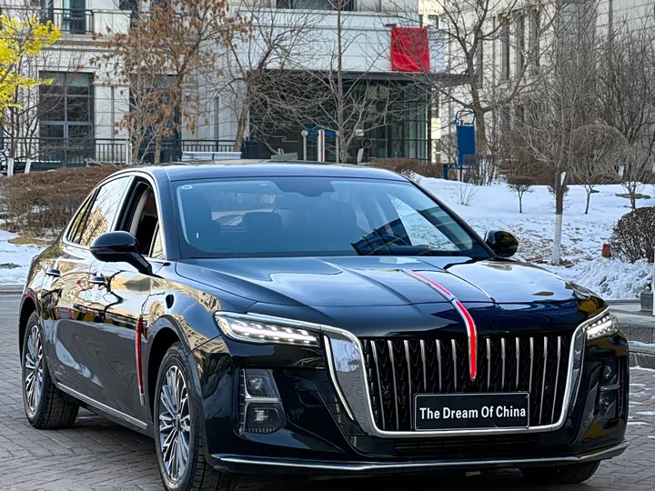 Фото 3 - Hongqi H5