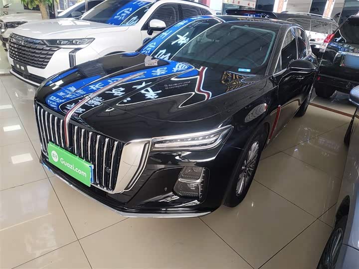 Фото 2 - Hongqi H5