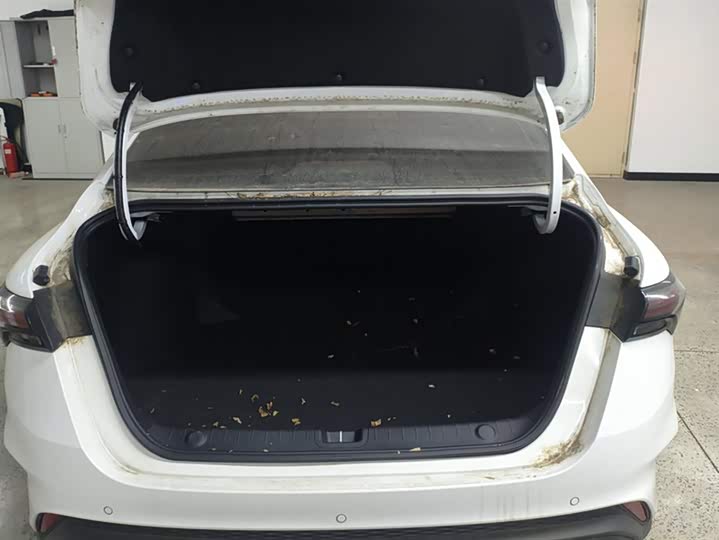 Фото 4 - Geely Binrui