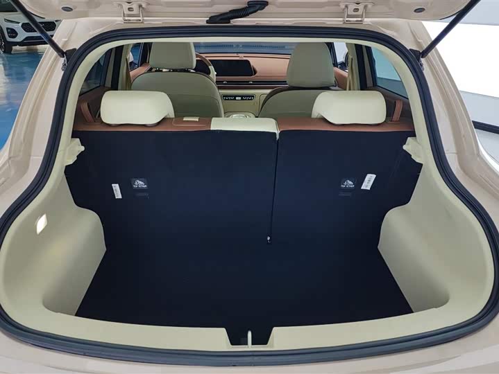 Фото 4 - Ora Good Cat (03)