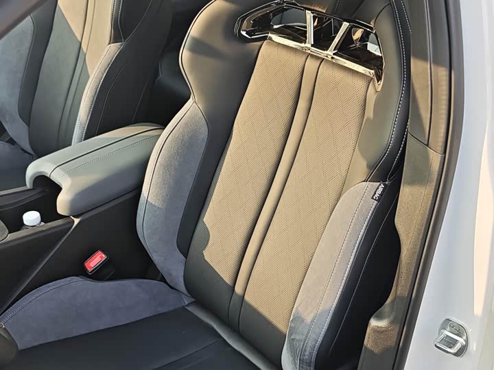 Фото 6 - GAC Trumpchi Empow R