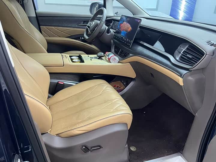 Фото 3 - Denza D9