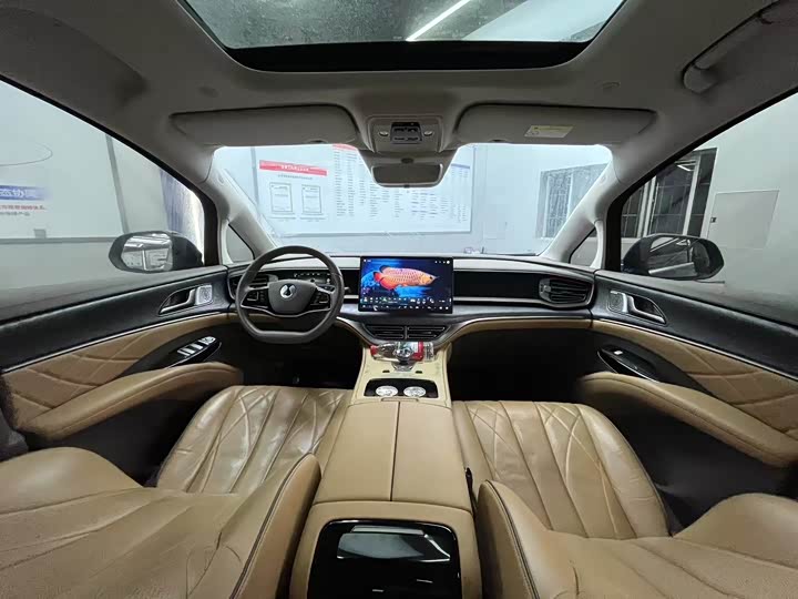 Фото 5 - Denza D9