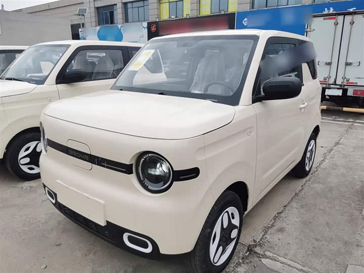 Фото 2 - Geely Galaxy Panda Mini