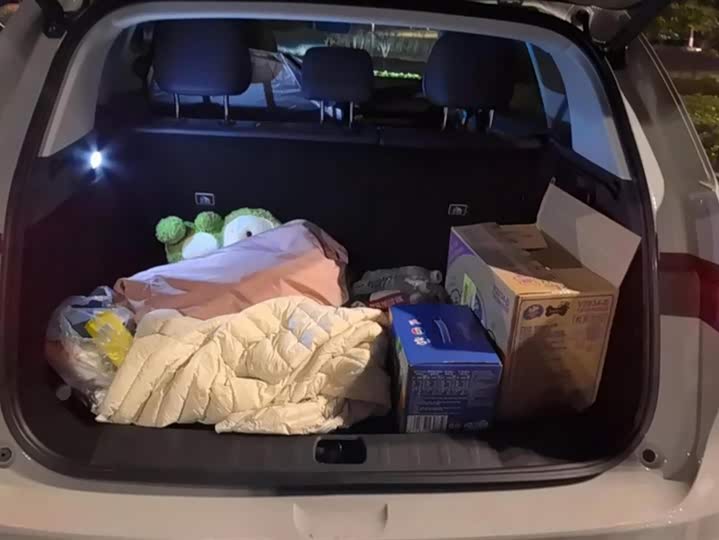 Фото 4 - Leapmotor C10