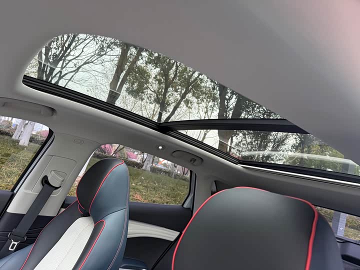 Фото 9 - BYD Yuan Plus