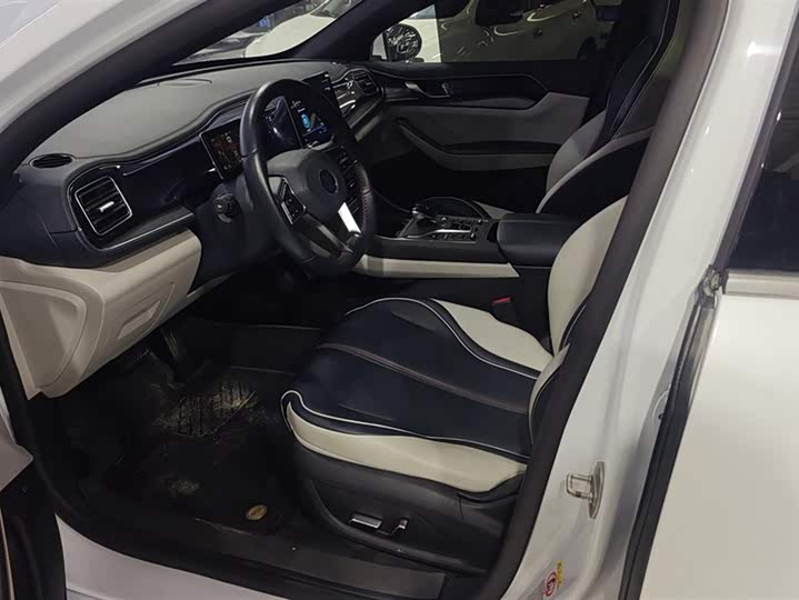 Фото 9 - BYD Qin Plus