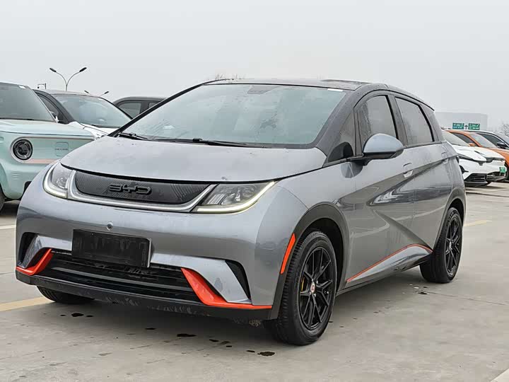 Фото 1 - BYD Dolphin