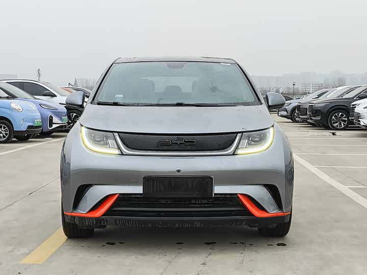 Фото 2 - BYD Dolphin