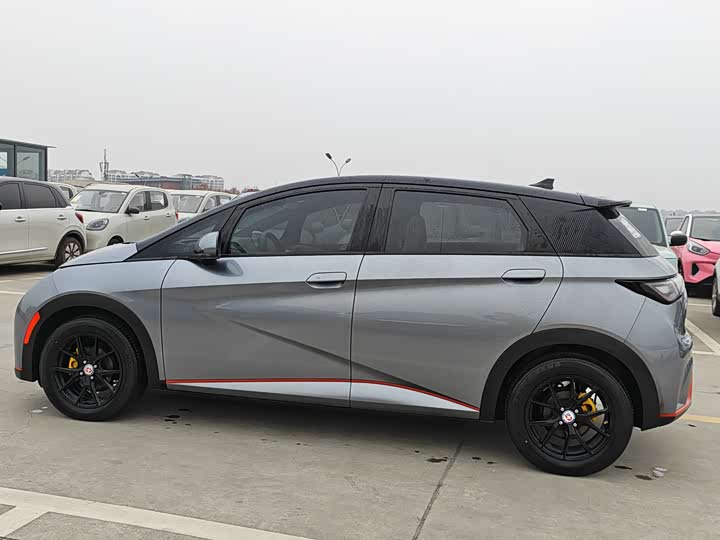 Фото 8 - BYD Dolphin