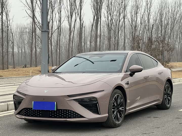 Фото 1 - Hozon S