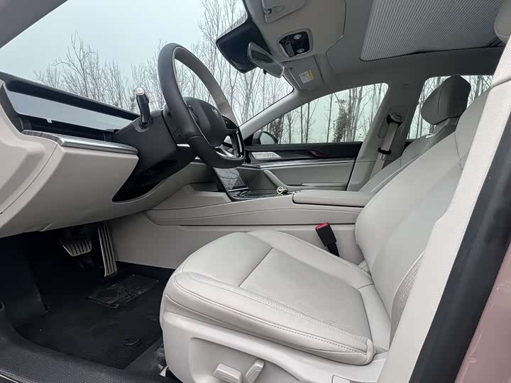 Фото 8 - Hozon S