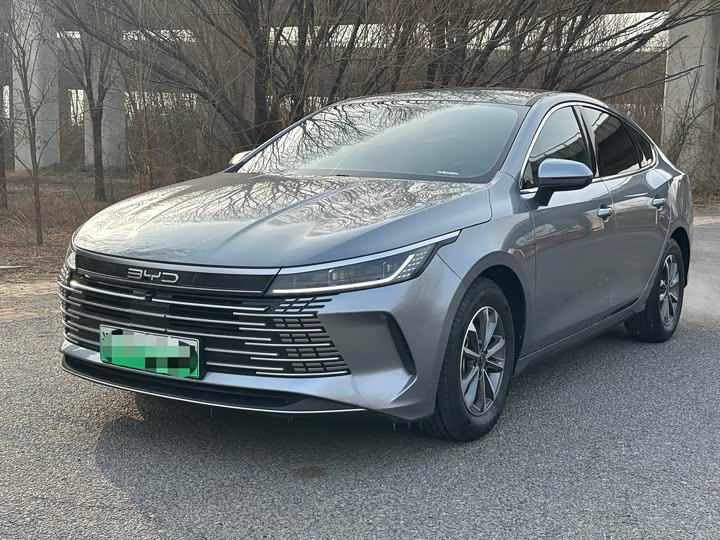 Фото 1 - BYD Destroyer 05