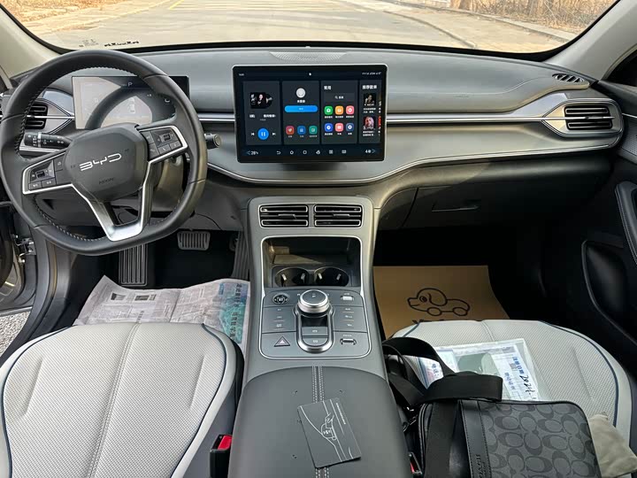 Фото 5 - BYD Destroyer 05