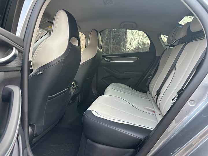 Фото 6 - BYD Destroyer 05