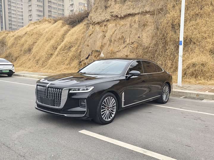 Фото 1 - Hongqi H9