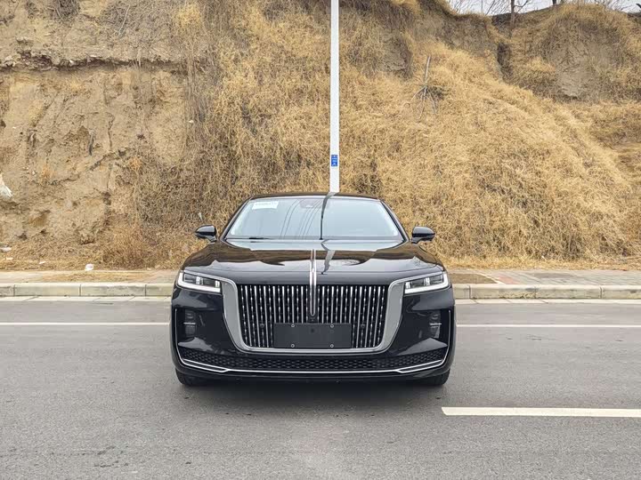 Фото 2 - Hongqi H9