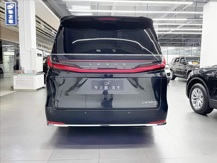 Фото 5 - Lexus LM