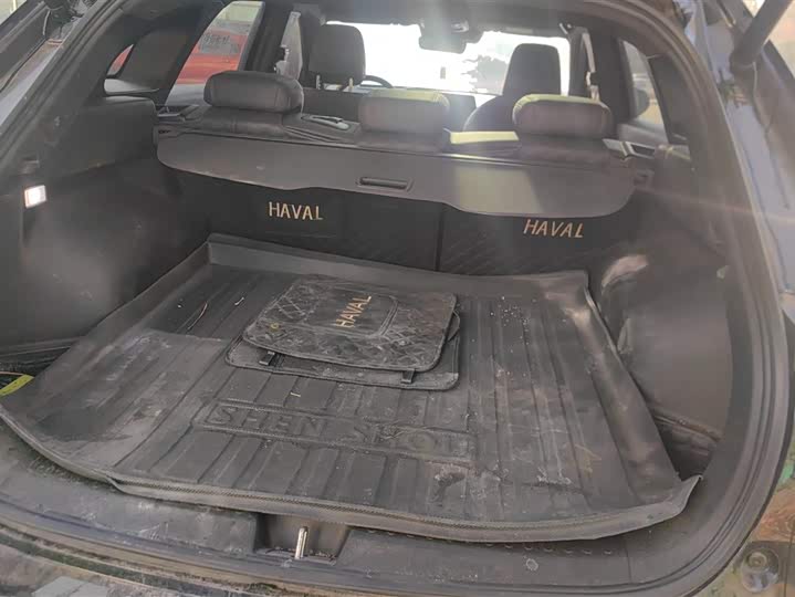 Фото 4 - Haval F7 (Monster)