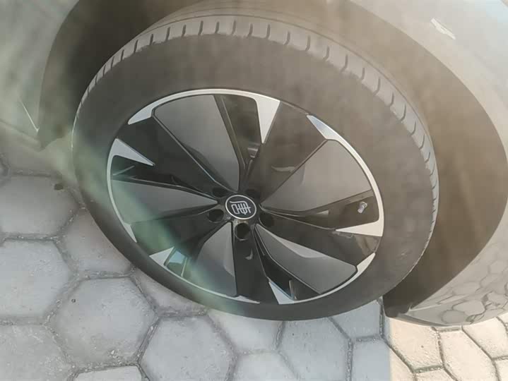 Фото 6 - BYD Tang L