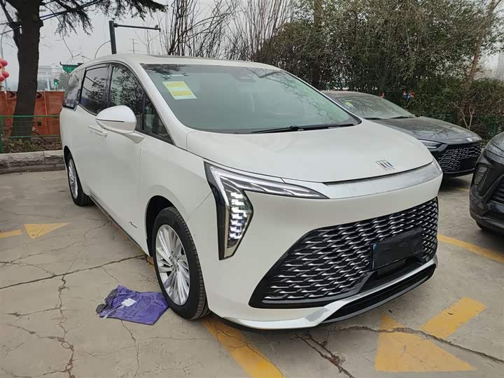 Фото 4 - Buick GL8 Century