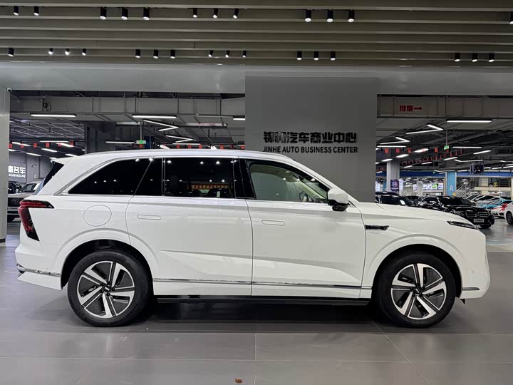 Фото 4 - Wey Lanshan