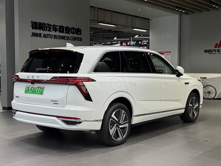 Фото 5 - Wey Lanshan