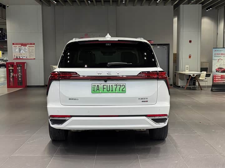 Фото 6 - Wey Lanshan