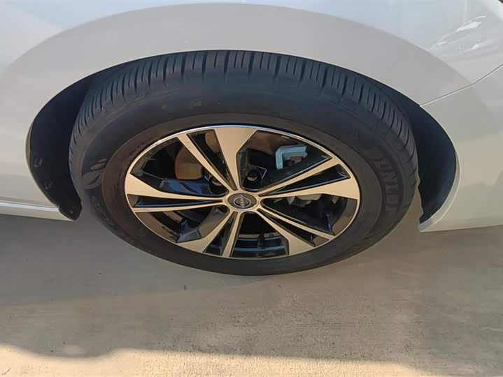 Фото 6 - Nissan Sylphy