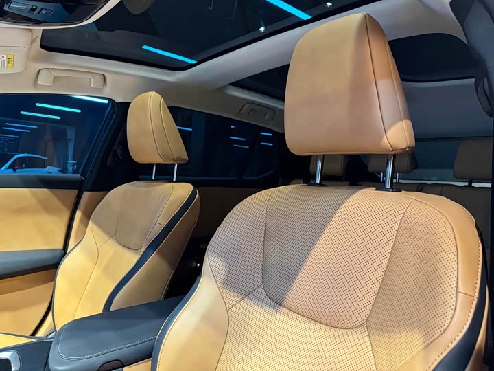 Фото 6 - Lexus RZ