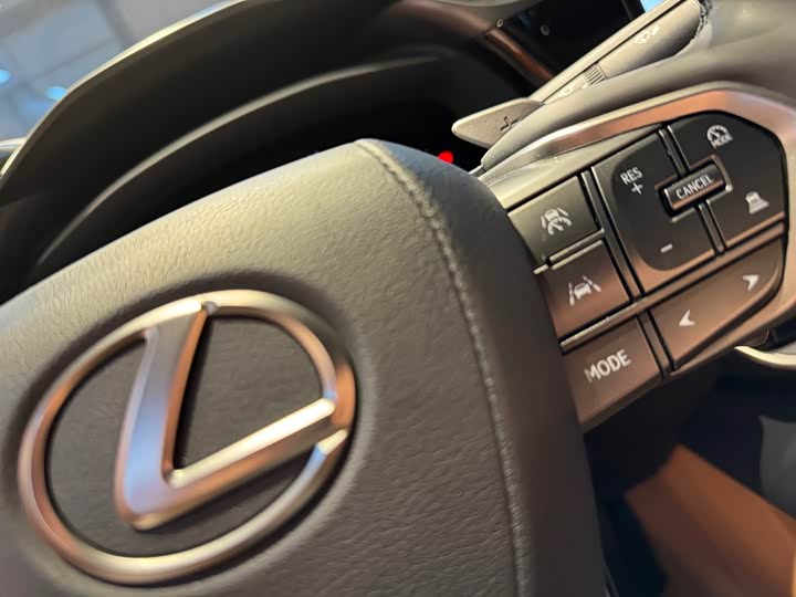 Фото 8 - Lexus RZ