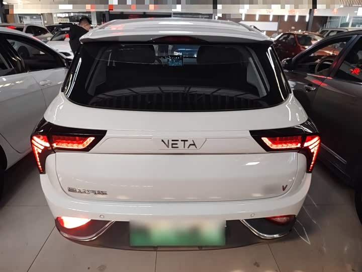 Фото 6 - Hozon V