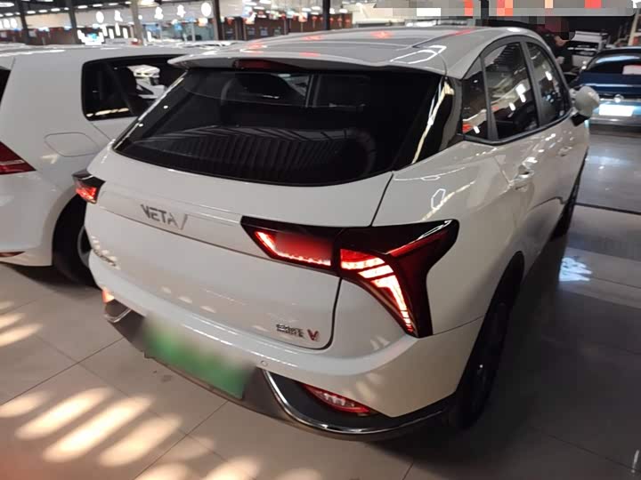 Фото 7 - Hozon V