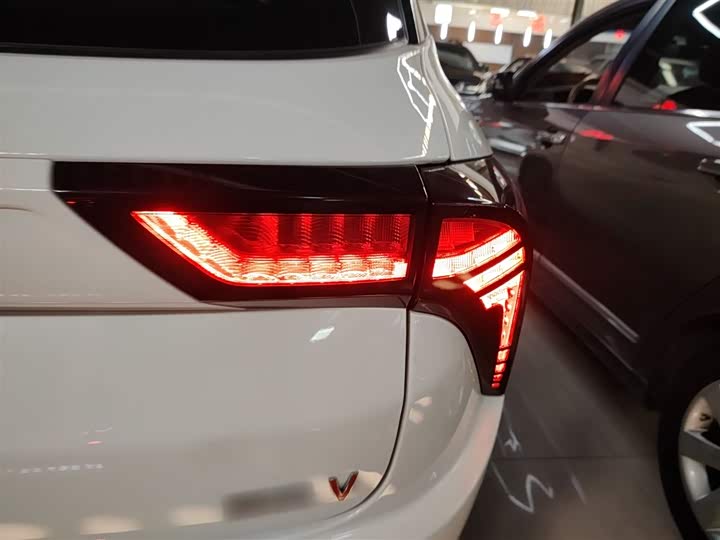 Фото 8 - Hozon V