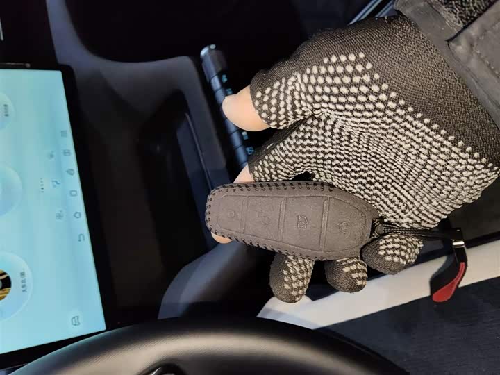 Фото 9 - BYD Dolphin