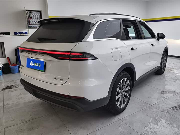 Фото 3 - Chery Fulwin T9