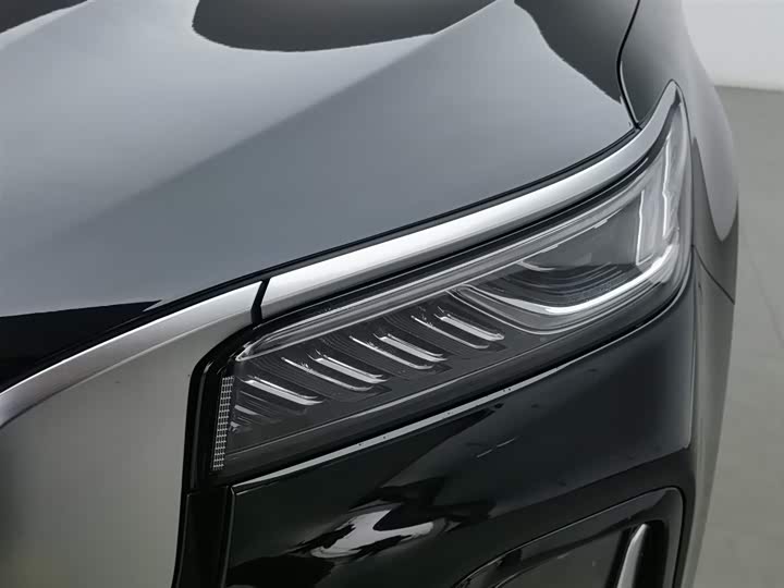 Фото 7 - Hongqi HS5