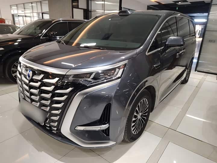 Фото 2 - Denza D9