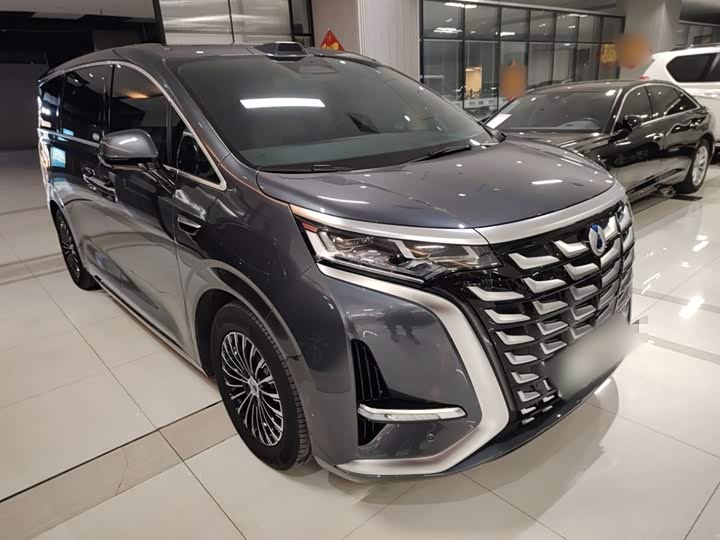 Фото 4 - Denza D9