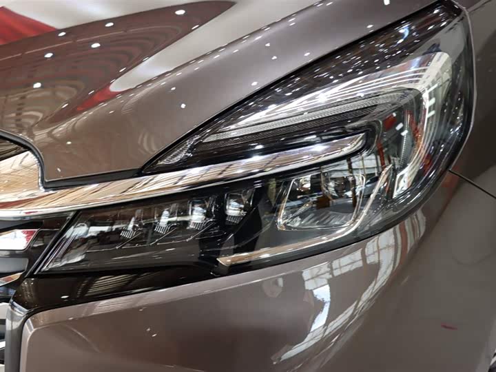 Фото 7 - Buick GL8 ES