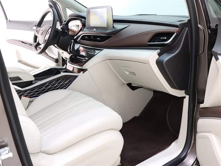 Фото 8 - Buick GL8 ES