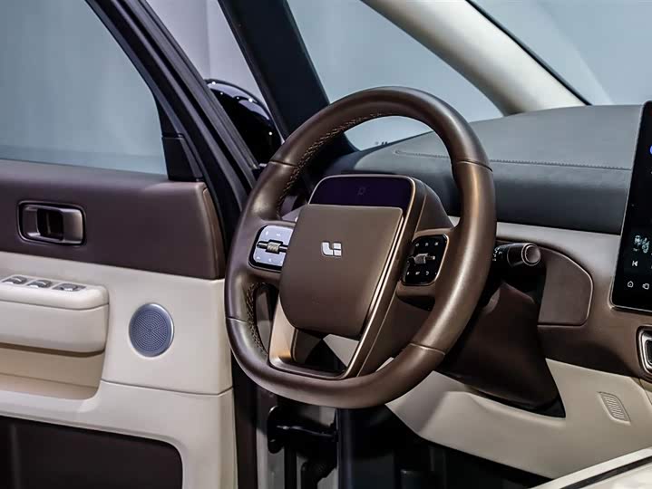 Фото 9 - LiXiang Mega