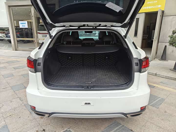 Фото 8 - Lexus RX