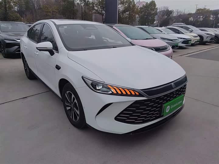 Фото 4 - BYD Qin Plus