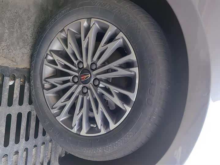 Фото 6 - Hongqi H5