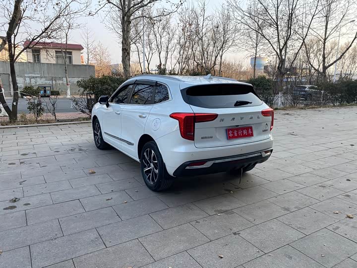 Фото 6 - Haval Jolion