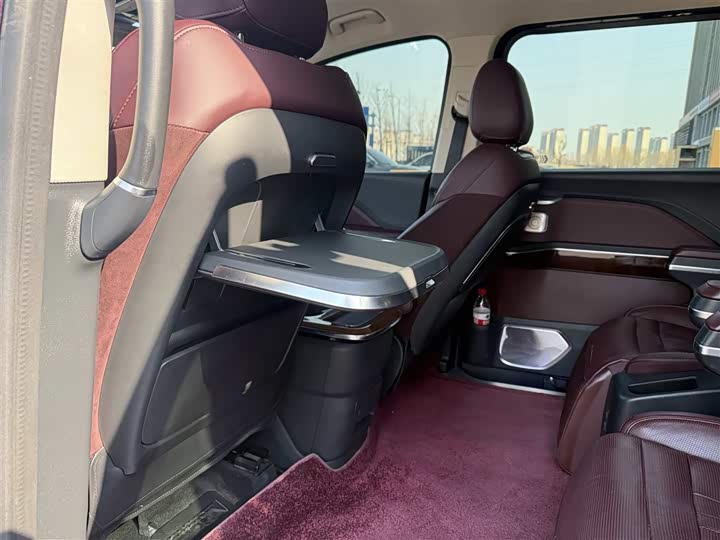 Фото 8 - Hongqi HQ9