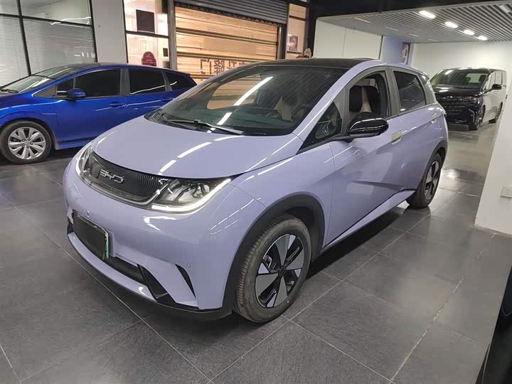 Фото 2 - BYD Dolphin