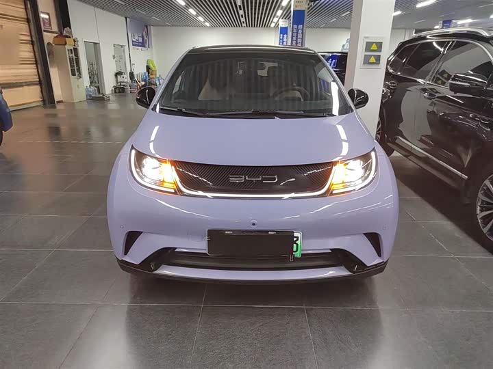 Фото 3 - BYD Dolphin