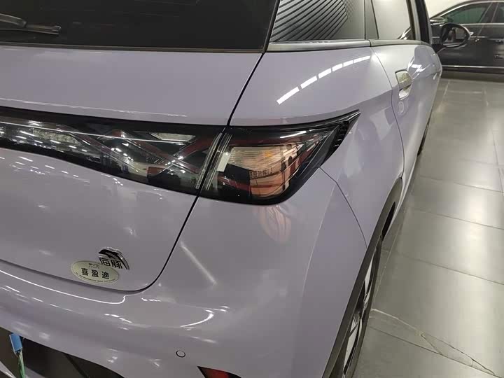 Фото 8 - BYD Dolphin